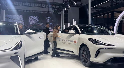 烏魯木齊市米東區(qū)9家汽車銷售企業(yè)進(jìn)入市社會(huì)消費(fèi)品零售總額50強(qiáng)